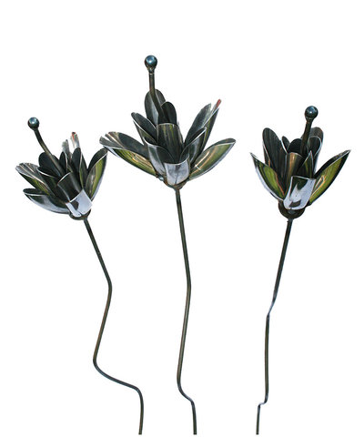 ‘Lotus, closed’ by Ian Beyer