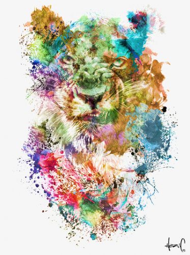 ‘Lioness’
