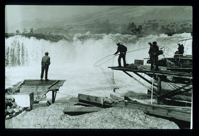 Salmon fishing with large loop nets by Native Americans circa 1938. Photo credit: Archival photograph by Mr. Sean Linehan, NOS, NGS and National Oceanic and Atmospheric Administration/Department of Commerce.