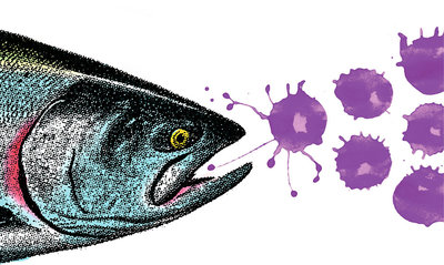 Illustration by Nolan & Trask Bedortha