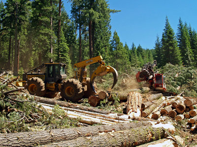 The BLM manages more than 2 million acres of land in western Oregon. Photo: BLM.