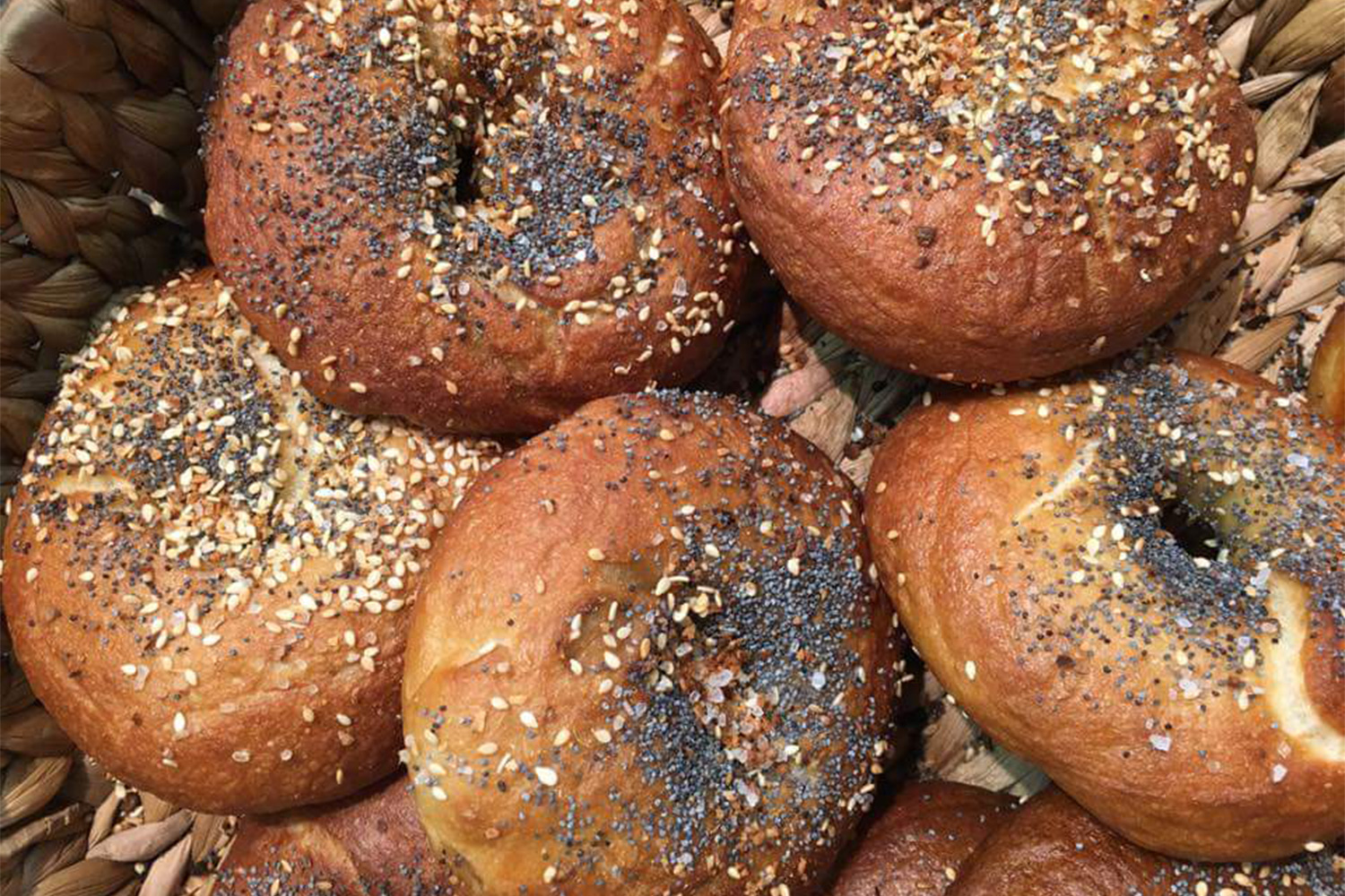 Bagels In Eugene Oregon at Lorena Cohn blog