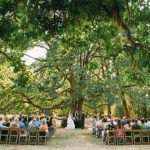 The oak grove double tree is one of four ceremony sites at Mount Pisgah
