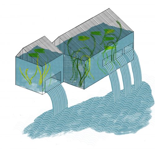 Illustration for Eugene Weekly by Ryan Peltier