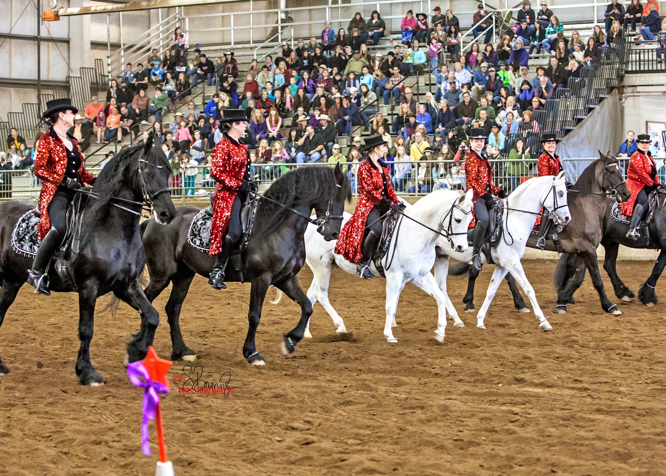 BlackPearl-Line-NWHF14-_6549crop-copy-2