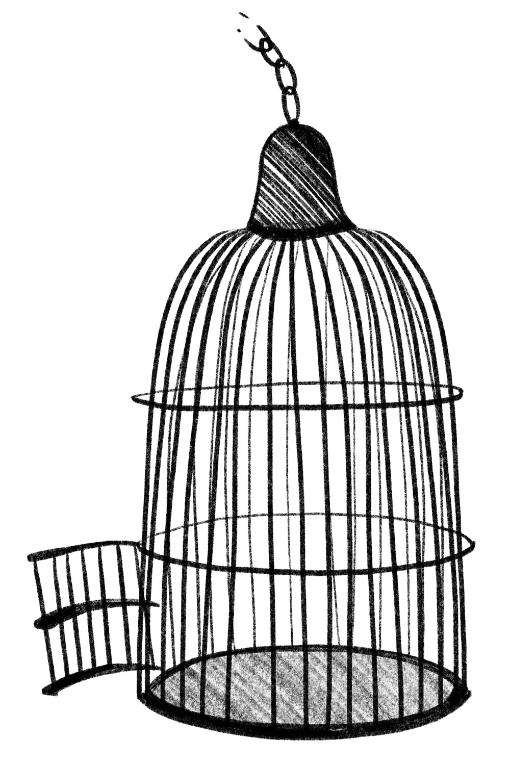 20190131coverstory-birdcage