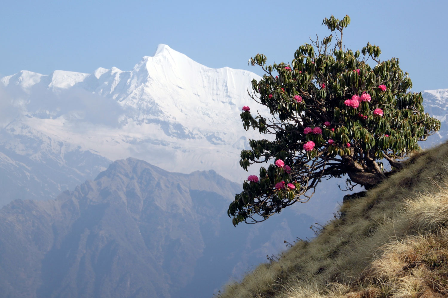 20190228coverstory-01-2Panchachuli