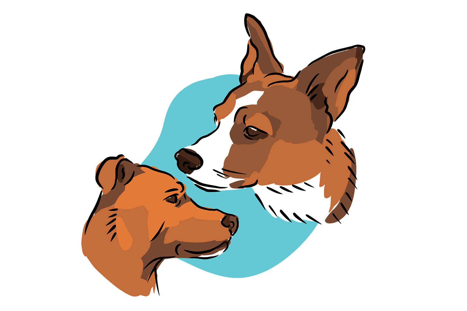 20200326cs-Pets