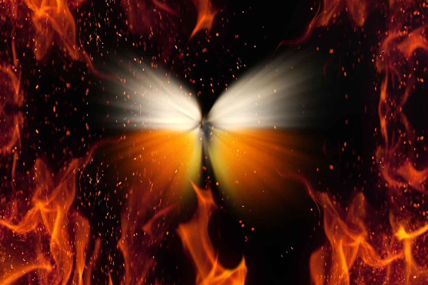 The Butterfly and the Blaze - Vimarsana News