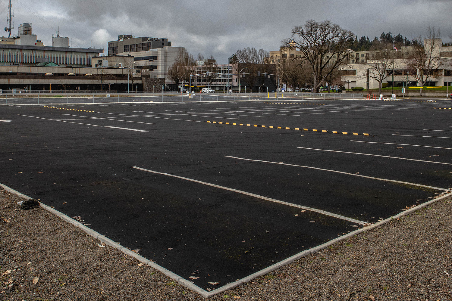 They Put Up a Parking Lot - Vimarsana News